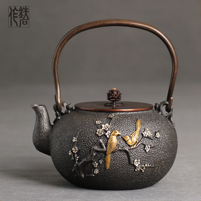 Cast Iron Teapot - Novo bule de ferro fundido bule