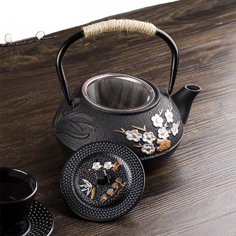 Garrafa de água de ferro fundi - Cast Iron Teapot avaliação e preço